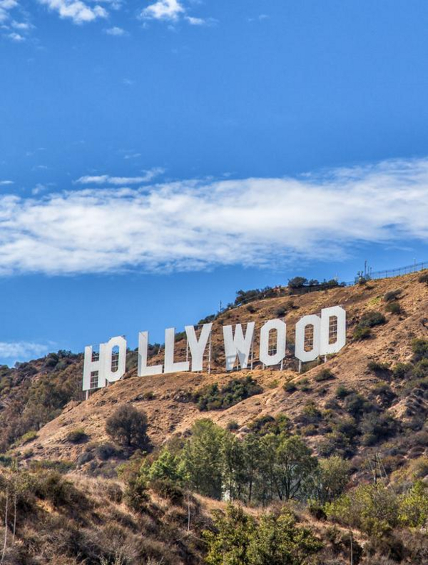 I went to Hollywood Linda Moon  Shutterstock