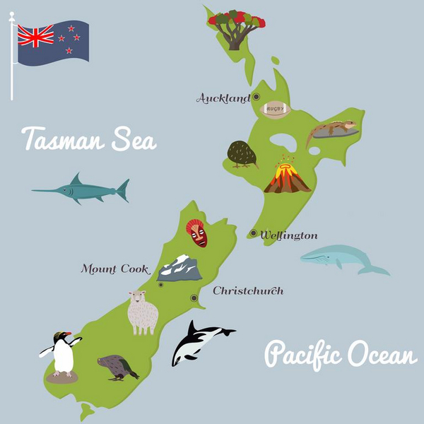 NZ map COLOURBOX25696459