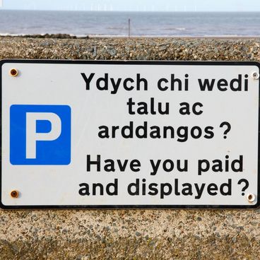The Welsh Language